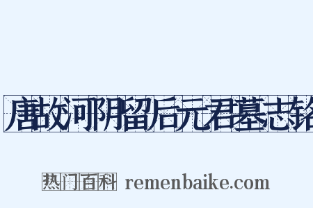 唐故河阴留后元君墓志铭是什么意思的图片